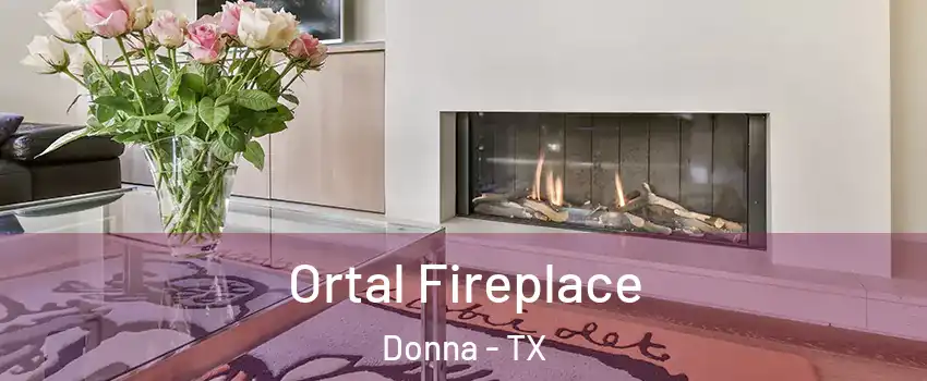 Ortal Fireplace Donna - TX