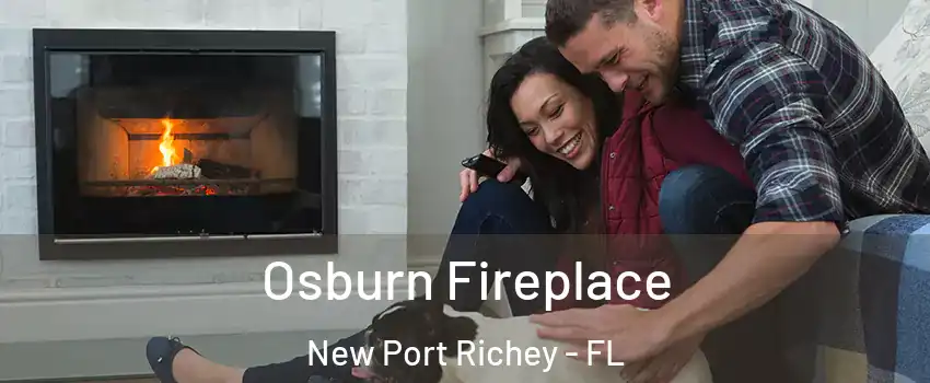  Osburn Fireplace New Port Richey - FL
