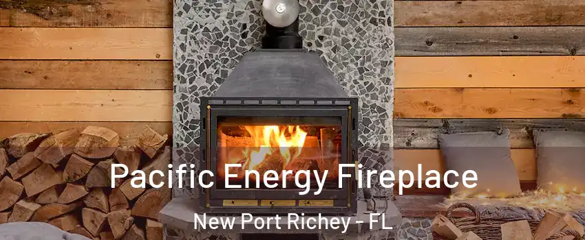  Pacific Energy Fireplace New Port Richey - FL