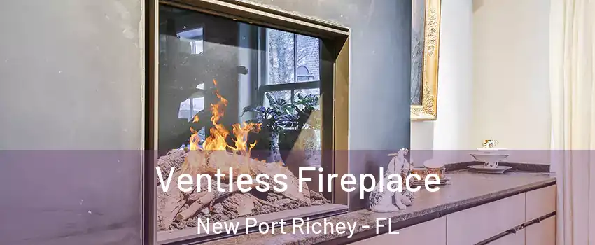  Ventless Fireplace New Port Richey - FL