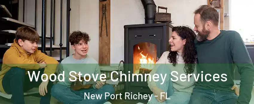  Wood Stove Chimney Services New Port Richey - FL